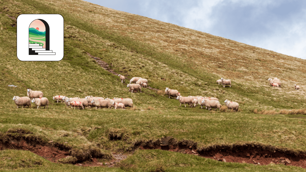 A Shepherd to the Sheep: The Pastoral Theology of Ignatius to&nbsp;Polycarp